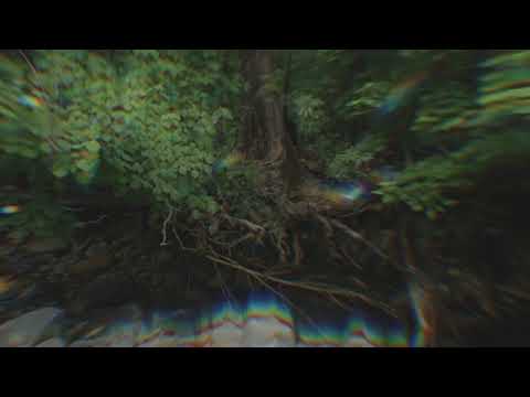 12. rainbows | visualiser