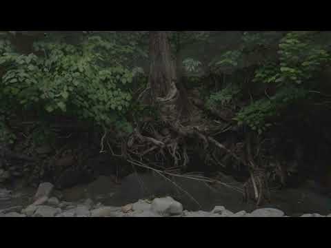 04. bc i love ya | visualiser