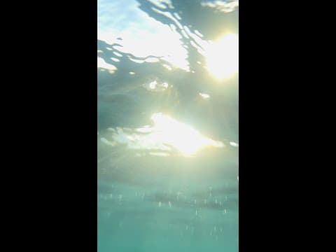 ((( 6 ))) - Cycles VISUALIZER