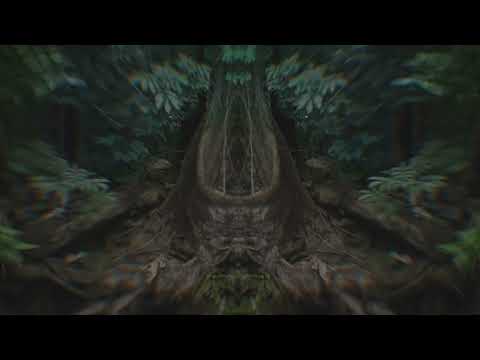 06. as you want | visualiser