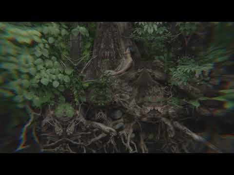 05. really love | visualiser