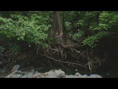 01. mama hum | visualiser