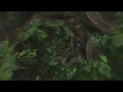 08. the paths we travel ft. zena | visualiser