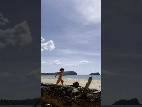 documenting.. cycles of our pocket of peace