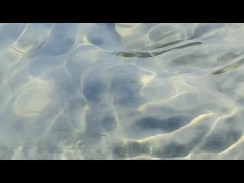 ((( 6 ))) - Earth Octaves